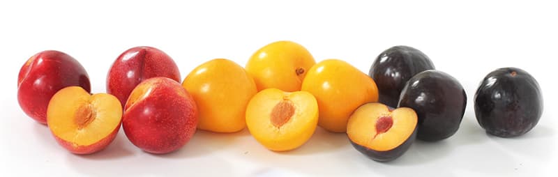 images/1739172975771stone fruits.jpg